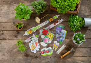 Graspapier-Etiketten Kunststoff-Etiketten Etiketten für den Garten Obst-Etiketten Blumen-Etiketten Tragegriffe